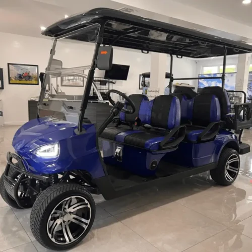 6 passenger golf cart