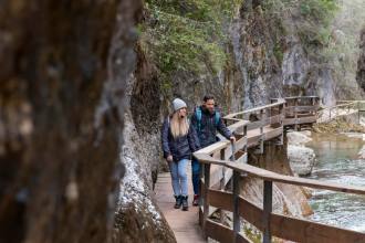 Private Tour: Victoria Day trip from Vancouver