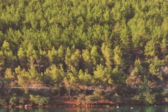 Lake management near me