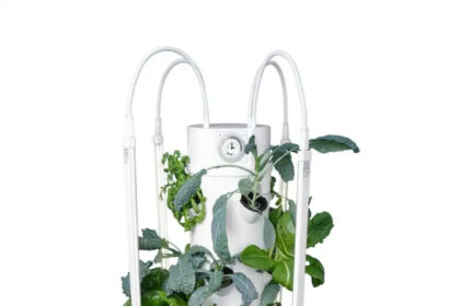 Hydroponic garden