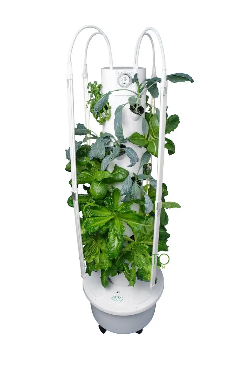 Hydroponic garden